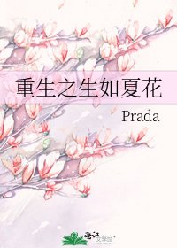 《重生之生如夏花》