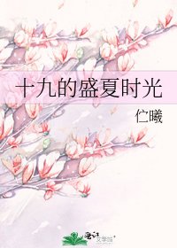 《十九的盛夏時光》