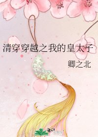 《清穿穿越之我的皇太子》