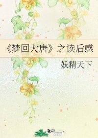 《夢迴大唐》
