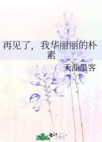 再見了，我華麗麗的樸素