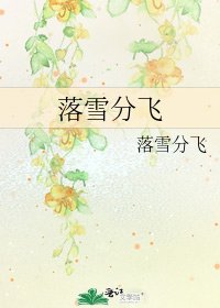 《落雪分飛》