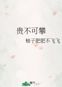 《貴不可攀》