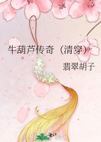 《牛葫蘆傳奇(清穿)》