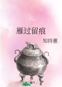 《雁過留痕》