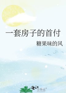 《一套房子的首付》
