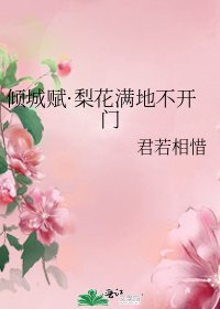 《傾城賦·梨花滿地不開門》