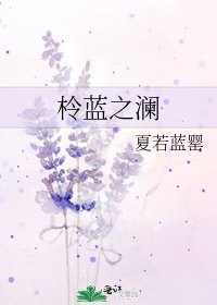 《柃藍之瀾》