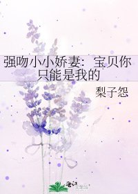 《強吻小小嬌妻:寶貝你只能是我的》
