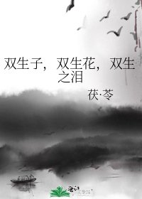 《雙生子,雙生花,雙生之淚》