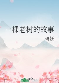 《一棵老樹的故事》