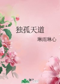《獨孤天盗》