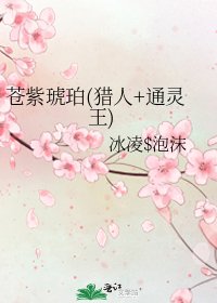 《蒼紫琥珀(獵人+通靈王)》