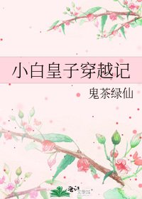 《小白皇子穿越記》