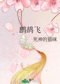 《鷓鴣飛》