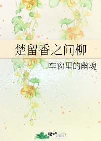 《楚留香之問柳》