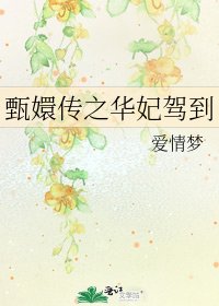 《甄嬛傳之華妃駕到》