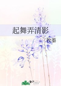 《起舞弄清影》