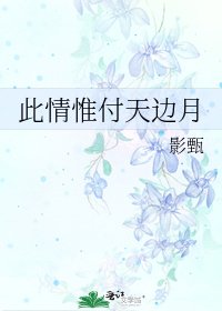 《此情惟付天邊月》