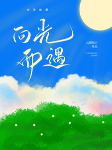 《向光而遇》