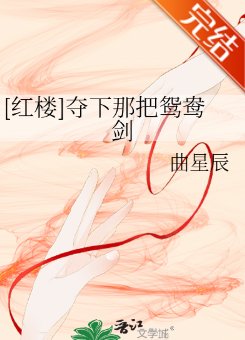 （紅樓同人）[紅樓]奪下那把鴛鴦劍