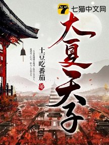 《大夏天子》