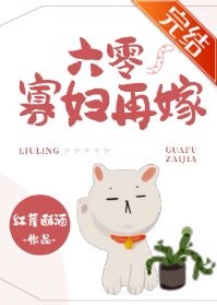 《六零寡婦再嫁》