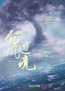 《颱風過境》