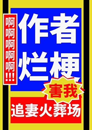 《作者爛梗害我追妻火葬場》