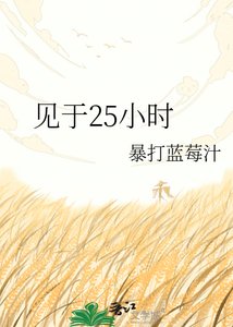 《見於25小時》
