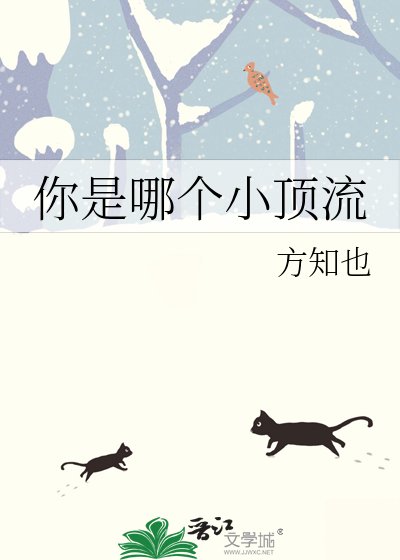 你是哪個小頂流