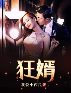 《狂婿》