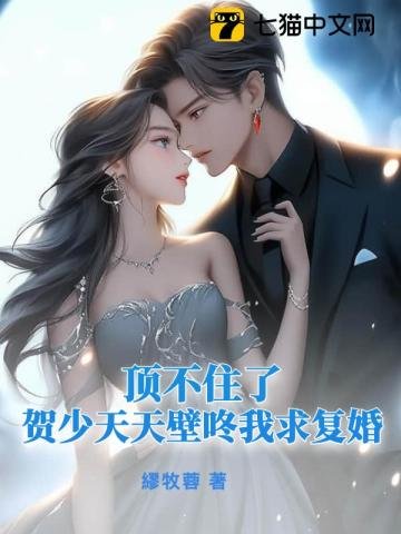 《頂不住了,賀少天天壁咚我求復婚》