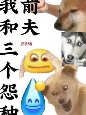 《我和三個怨種前夫》