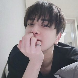 《金泳勳:家有二狗》