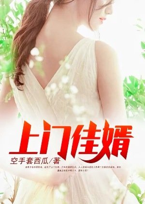 《上門佳婿》