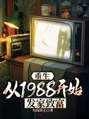重生：從1988開始發家致富