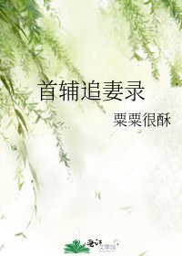 《清冷首輔火葬場紀實/首輔追妻錄》