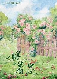 《一眼着迷》