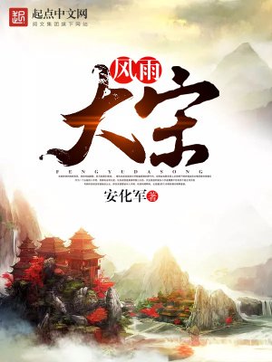 《風雨大宋》