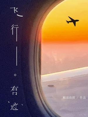 《飛行有跡》