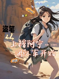 《(盜墓筆記同人)盜筆:從上錯阿寧團隊車開始》