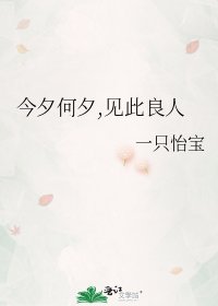 《今夕何夕,見此良人》