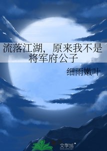 《流落江湖,原來我不是將軍府公子》
