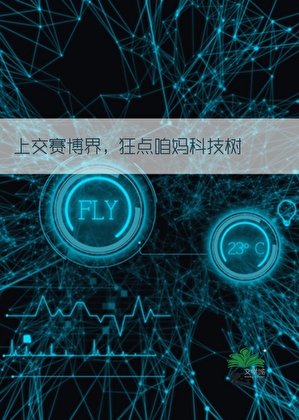 《背靠祖國,制霸賽博!》