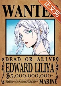 《(綜漫同人)這個嬌妻遺孀我當定了》