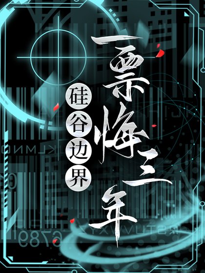 《硅谷邊界:一票悔三年》