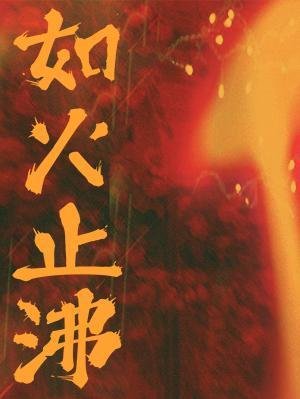 《如火止沸》