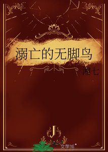 《溺亡的無腳鳥》