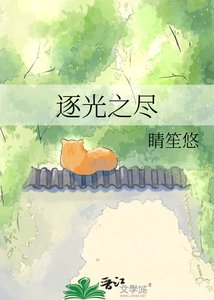 《逐光之盡》